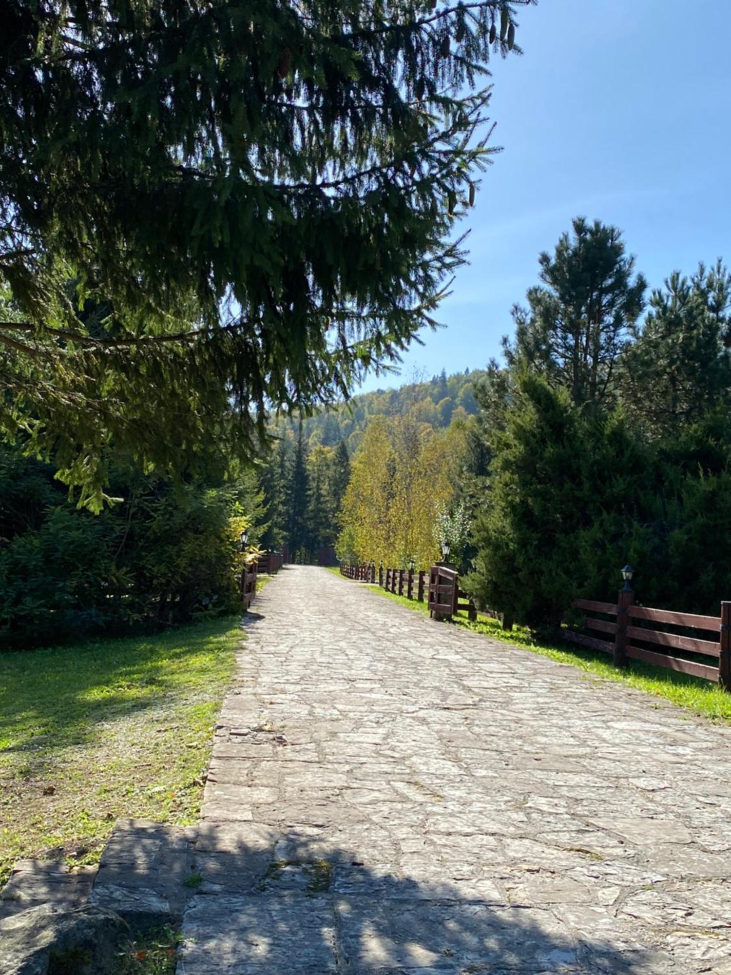 Relaxation In Guta Гута Покращене Шале Exterior foto